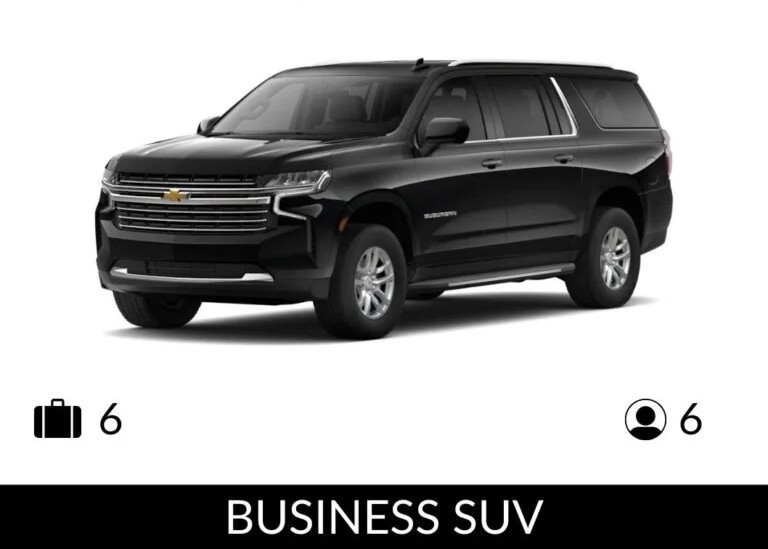 Business-suv-768x644-2.jpg